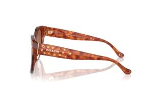 Sidevisning Coach CR612 (HC8393U - 577413)