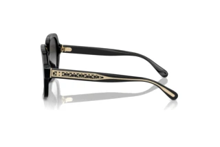 Sidevisning Coach CR614 (HC8395U - 50023C)