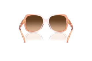 Bagside Coach CR614 (HC8395U - 581274)