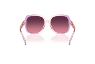 Bagside Coach CR614 (HC8395U - 5813F4)