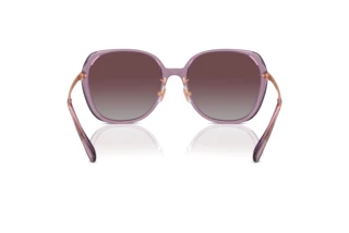 Bagside Coach CR636 (HC8403D - 582562)