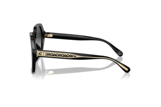 Sidevisning Coach CR615 (HC8404U - 50023C)