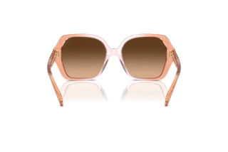 Bagside Coach CR615 (HC8404U - 581274)