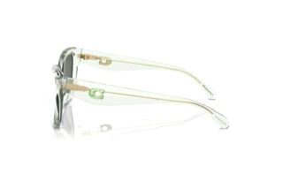 Sidevisning Coach CS544 (HC8405U - 583271)