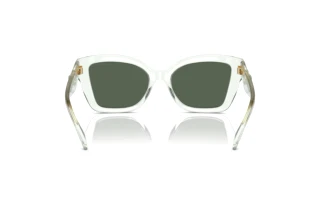 Bagside Coach CS544 (HC8405U - 583271)