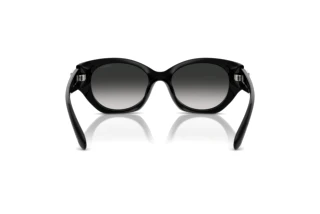 Bagside Coach CW194 (HC8407U - 50023C)