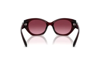 Bagside Coach CW194 (HC8407U - 53938H)