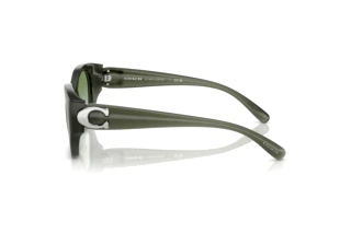 Sidevisning Coach CW194 (HC8407U - 584017)