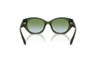 Bagside Coach CW194 (HC8407U - 584017)