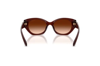 Bagside Coach CW194 (HC8407U - 584174)