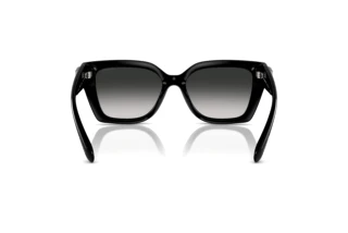 Bagside Coach CW195 (HC8408U - 50023C)