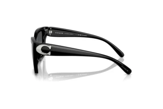 Sidevisning Coach CW195 (HC8408U - 5002T3)