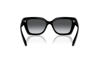 Bagside Coach CW195 (HC8408U - 5002T3)