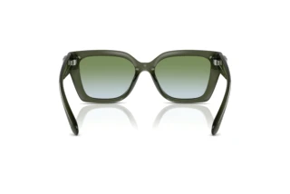 Bagside Coach CW195 (HC8408U - 584017)