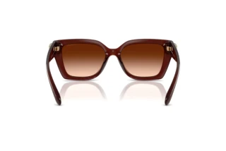 Bagside Coach CW195 (HC8408U - 584174)