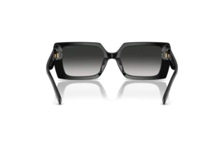 Bagside Coach CW224 (HC8409U - 50023C)