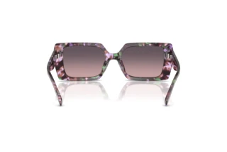 Bagside Coach CW224 (HC8409U - 584346)