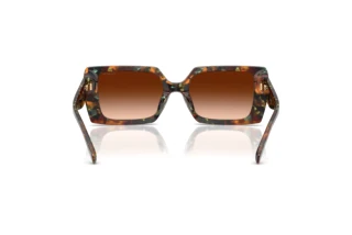 Bagside Coach CW224 (HC8409U - 584474)