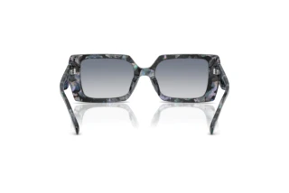 Bagside Coach CW224 (HC8409U - 584535)