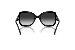 Bagside Coach CW225 (HC8410U - 50023C)