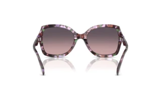 Bagside Coach CW225 (HC8410U - 584346)