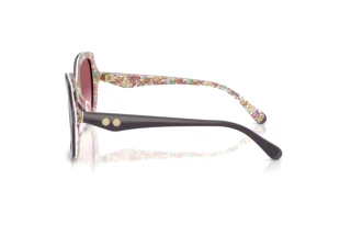 Sidevisning Coach CW225 (HC8410U - 58957W)