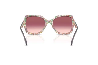 Bagside Coach CW225 (HC8410U - 58957W)