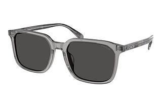 Coach HC8411U 584987 Grey SolidTransparent Grey