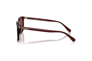 Sidevisning Coach CW405 (HC8411U - 585075)