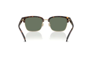 Bagside Coach CW406 (HC8412 - 51203H)