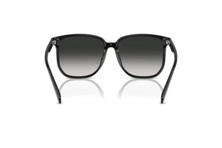 Bagside Coach CW419 (HC8413BD - 50023C)