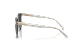 Sidevisning Coach CW419 (HC8413BD - 561487)