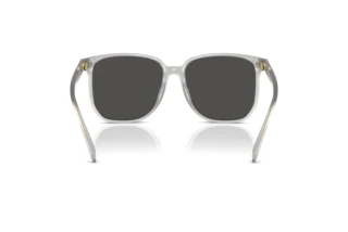 Bagside Coach CW419 (HC8413BD - 561487)