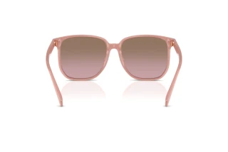 Bagside Coach CW419 (HC8413BD - 583914)