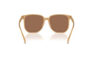 Bagside Coach CW419 (HC8413BD - 585473)