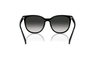 Bagside Coach CW428 (HC8414BD - 50023C)