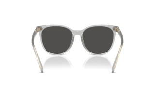 Bagside Coach CW428 (HC8414BD - 561487)