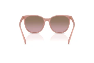 Bagside Coach CW428 (HC8414BD - 583914)