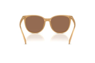 Bagside Coach CW428 (HC8414BD - 585473)