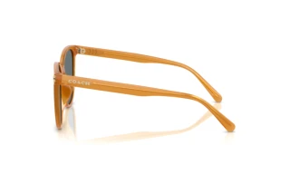 Sidevisning Coach CW428 (HC8414BD - 585580)