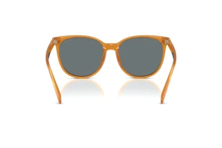 Bagside Coach CW428 (HC8414BD - 585580)