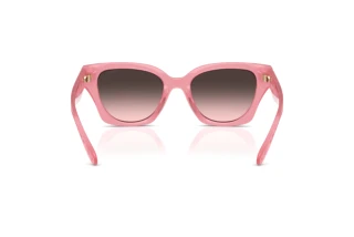 Bagside Coach CAD18 (HC8418U - 589646)