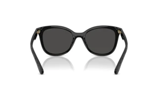 Bagside Coach CAD25 (HC8419U - 500287)