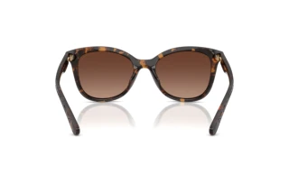 Bagside Coach CAD25 (HC8419U - 5120T5)