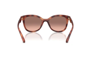 Bagside Coach CAD25 (HC8419U - 577413)