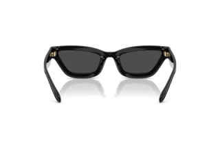 Bagside Coach CAD28 (HC8420U - 500287)