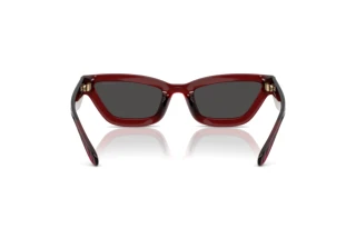 Bagside Coach CAD28 (HC8420U - 587487)