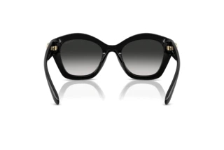 Bagside Coach CAD31 (HC8421U - 50023C)