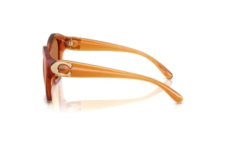 Sidevisning Coach CAD31 (HC8421U - 564773)