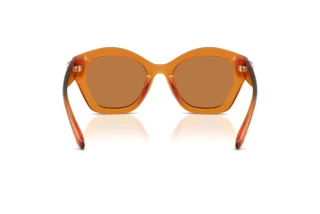 Bagside Coach CAD31 (HC8421U - 564773)